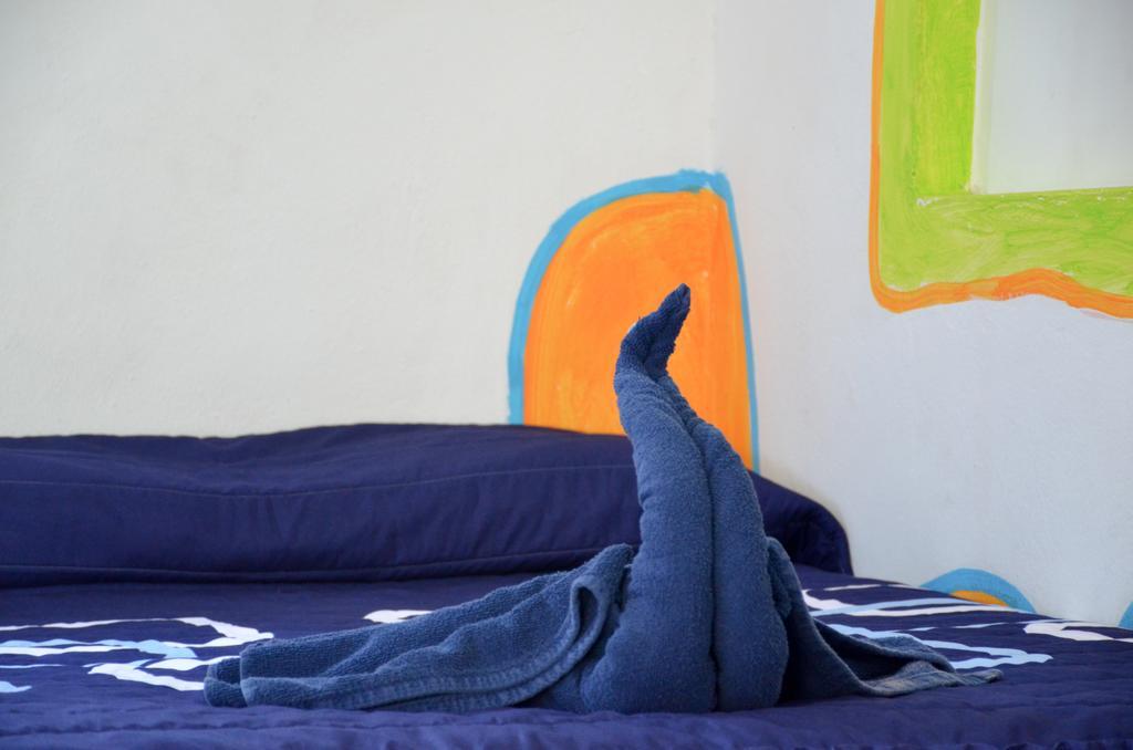 Adventure Experience Hotel Playa del Carmen Zewnętrze zdjęcie
