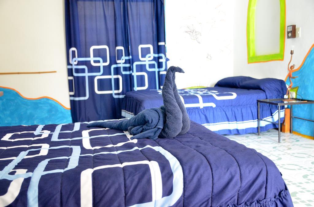 Adventure Experience Hotel Playa del Carmen Zewnętrze zdjęcie