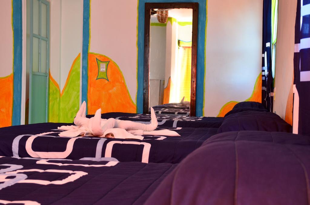 Adventure Experience Hotel Playa del Carmen Zewnętrze zdjęcie