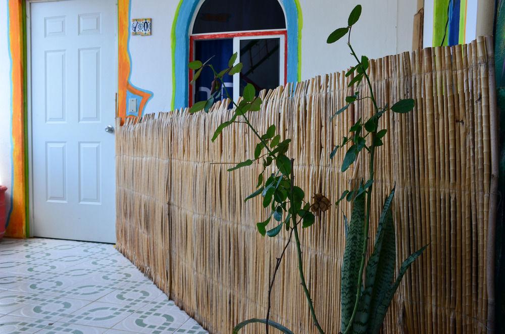 Adventure Experience Hotel Playa del Carmen Zewnętrze zdjęcie
