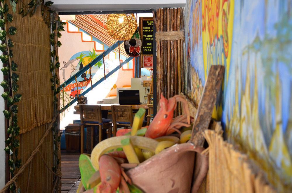 Adventure Experience Hotel Playa del Carmen Zewnętrze zdjęcie