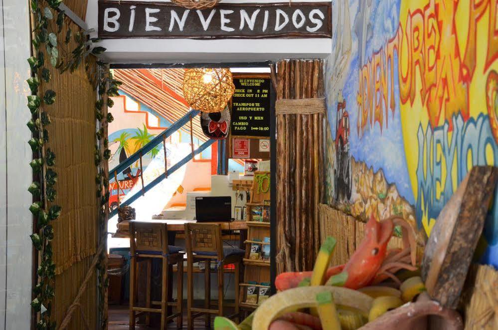 Adventure Experience Hotel Playa del Carmen Zewnętrze zdjęcie